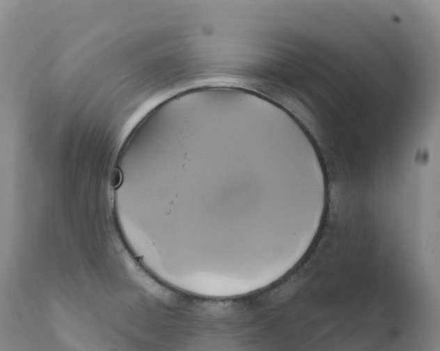 X0000111831428200908131535