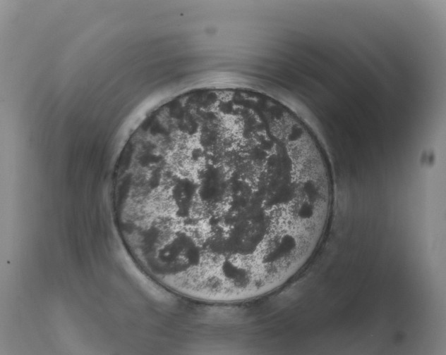 X0000111831429200908131535