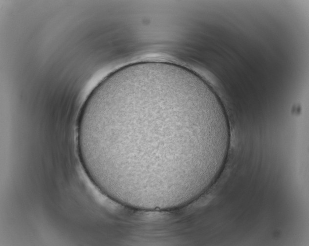 X0000111831430200908131535