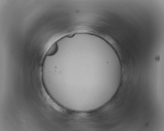 X0000111831431200908131535