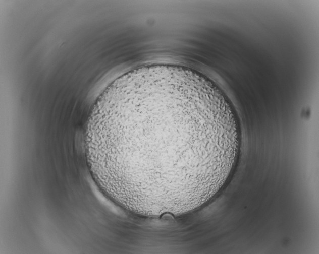 X0000111831433200908131535