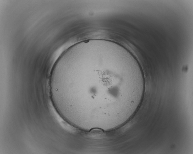 X0000111831434200908131535