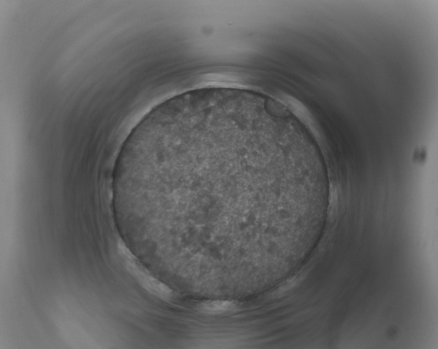 X0000111831435200908131535