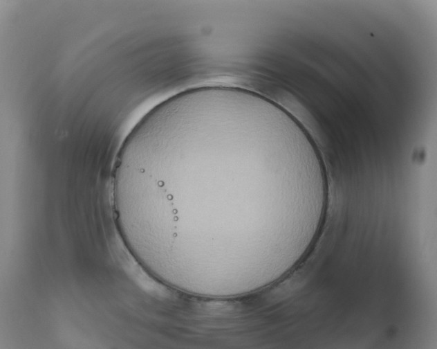 X0000111831436200908131535