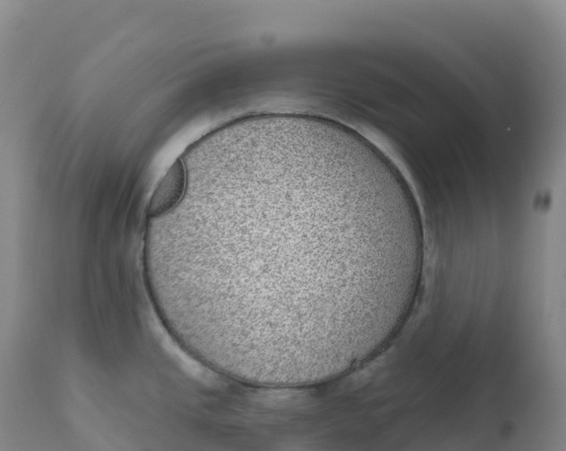 X0000111831437200908131535