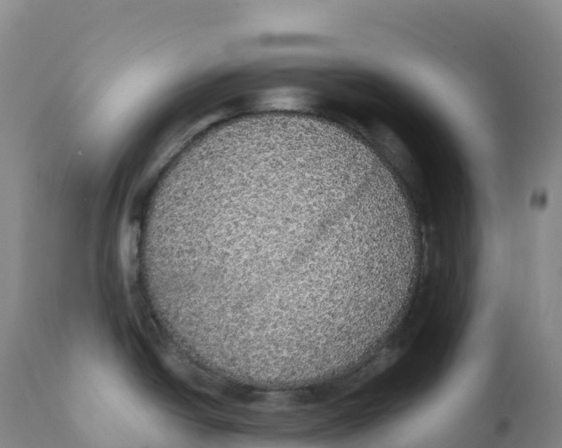 X0000111831438200908131535