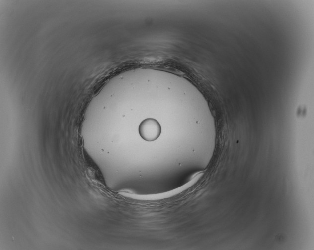 X0000111831441200908131535