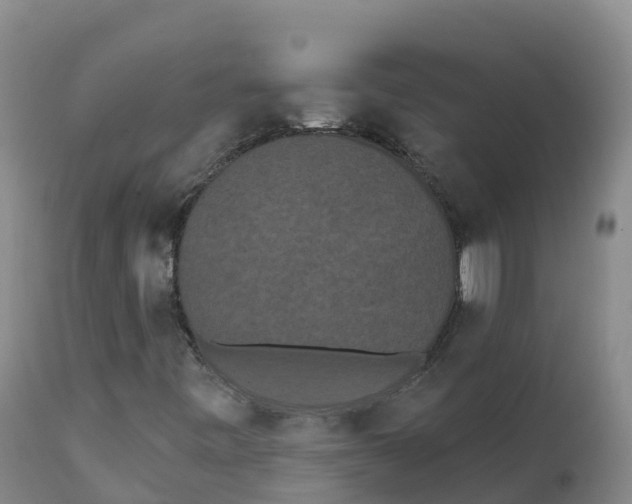 X0000111831443200908131535