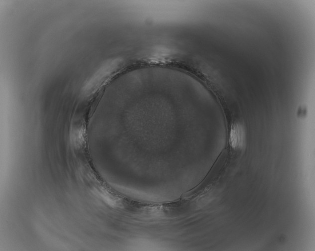 X0000111831444200908131535