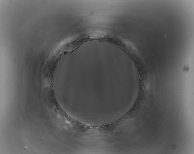 X0000111831445200908131535