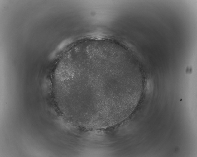 X0000111831446200908131535