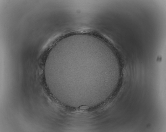 X0000111831447200908131535