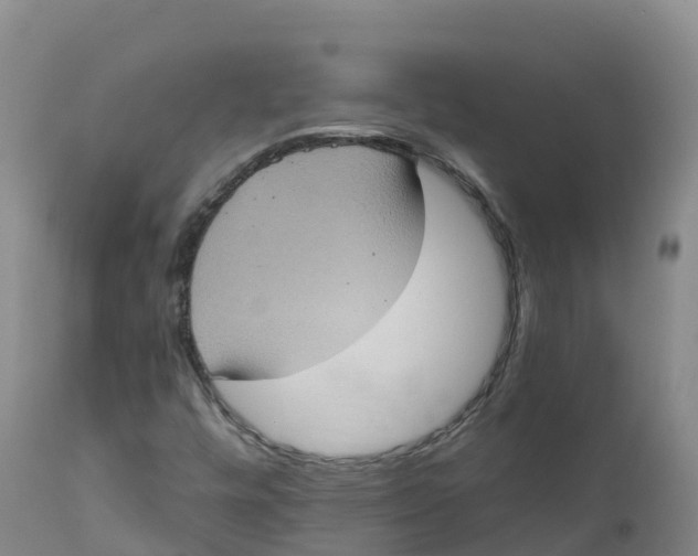 X0000111831448200908131535