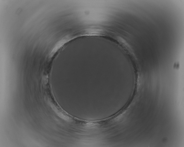 X0000111831449200908131535