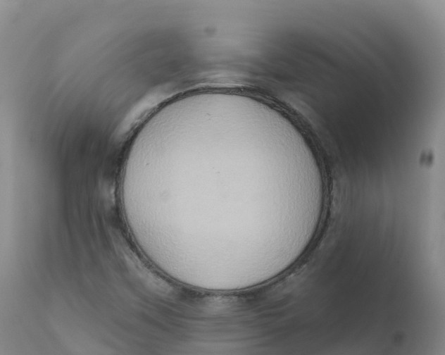 X0000111831451200908131535