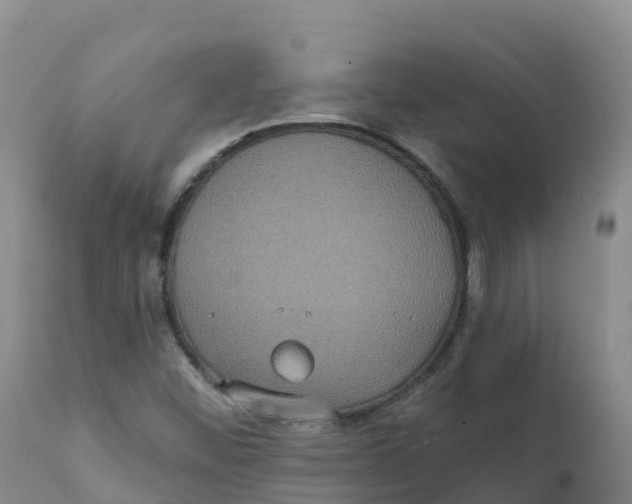 X0000111831452200908131535