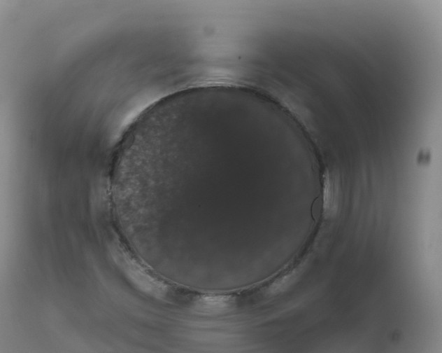 X0000111831453200908131535