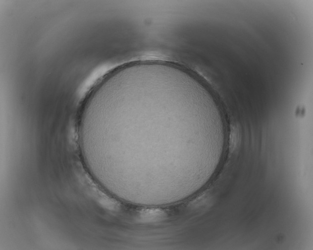 X0000111831454200908131535