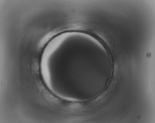 X0000111831455200908131535