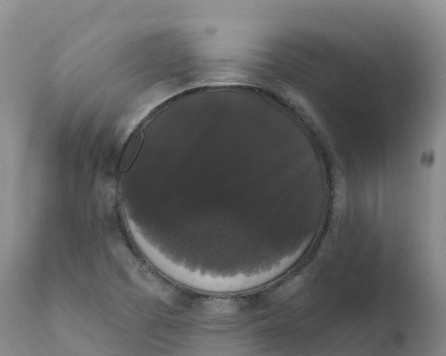 X0000111831457200908131535