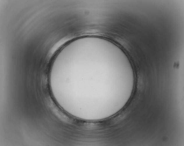 X0000111831458200908131535