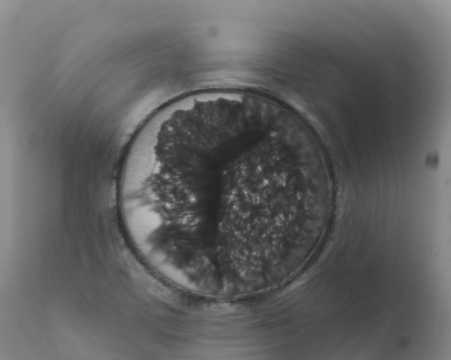 X0000111831459200908131535