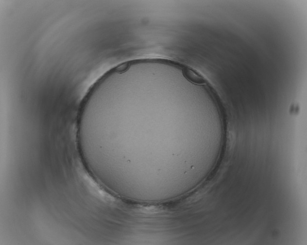 X0000111831460200908131535