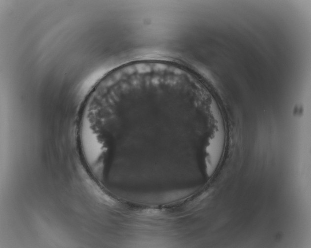 X0000111831463200908131535