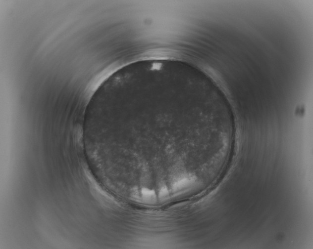 X0000111831465200908131534