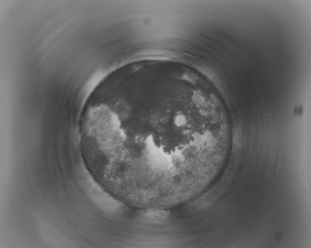 X0000111831466200908131534