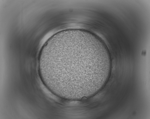 X0000111831467200908131534