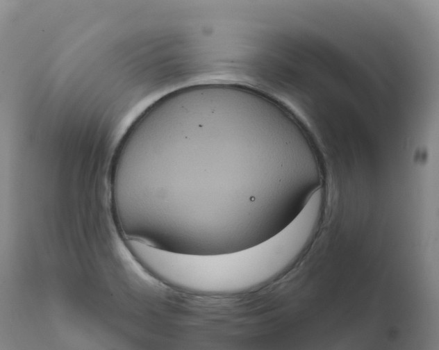 X0000111831468200908131534