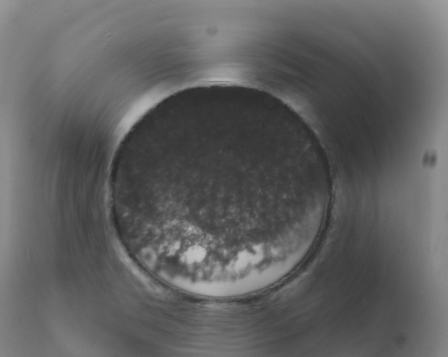 X0000111831469200908131534