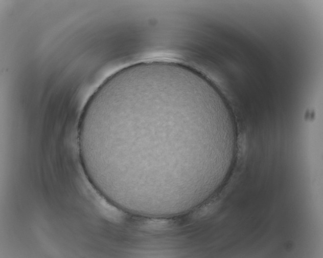 X0000111831470200908131534