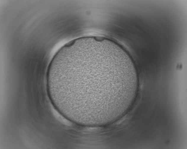 X0000111831471200908131534