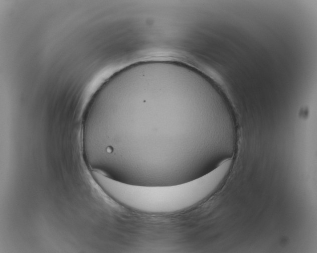 X0000111831472200908131534