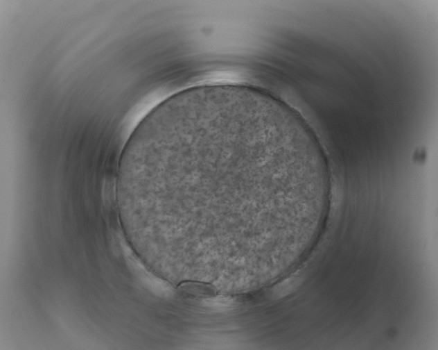 X0000111831473200908131534