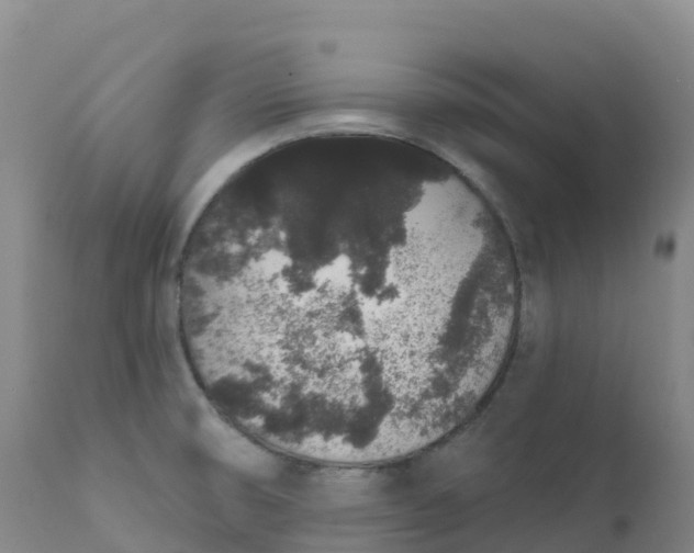 X0000111831474200908131534