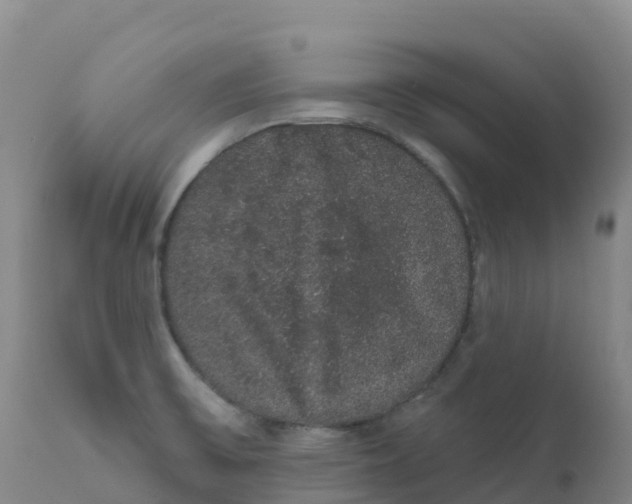 X0000111831475200908131534