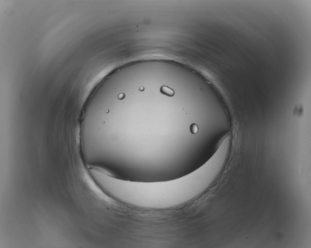 X0000111831476200908131534