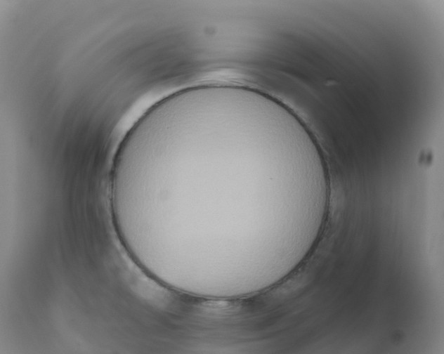 X0000111831478200908131534