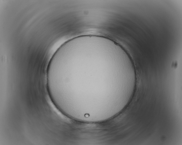 X0000111831479200908131534