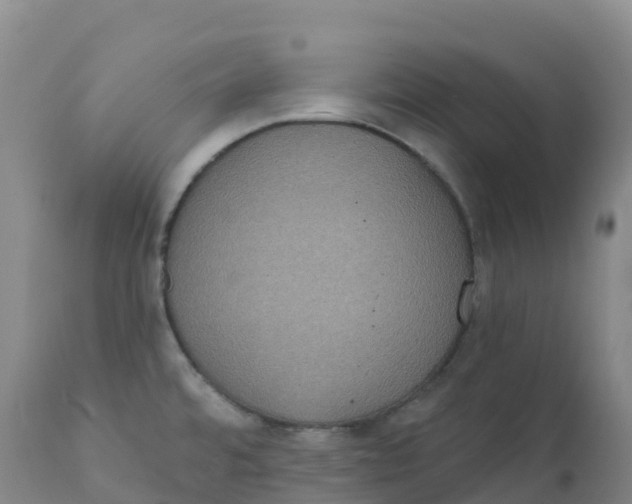 X0000111831480200908131534