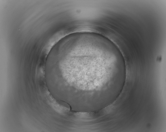 X0000111831481200908131534