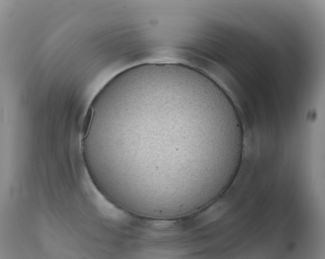 X0000111831484200908131534