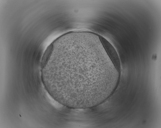 X0000111831485200908131534