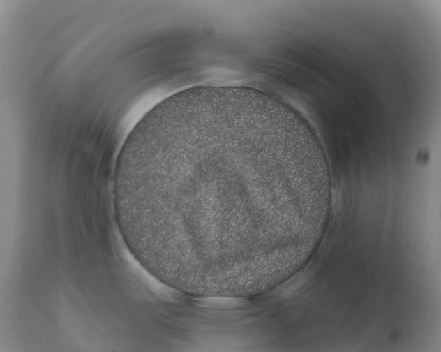 X0000111831487200908131534