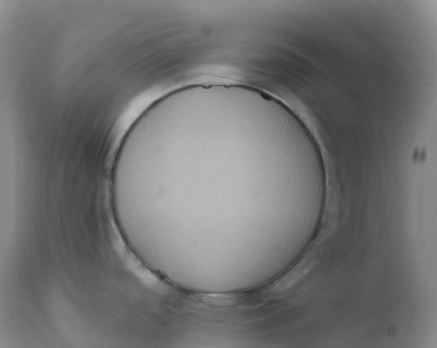 X0000111831488200908131534