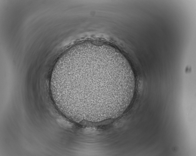 X0000111831489200908131534