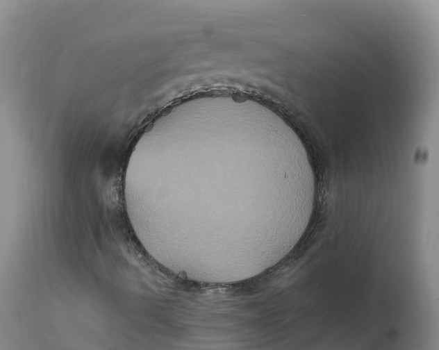 X0000111831490200908131534